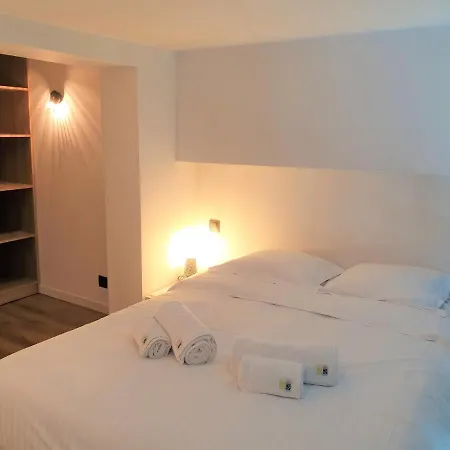 公寓 Duplex Centre 405 尼斯